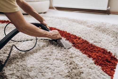 Why Should I Hire Professional Carpet Cleaning Service?