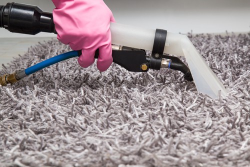 Why Should I Hire Professional Carpet Cleaning Service?
