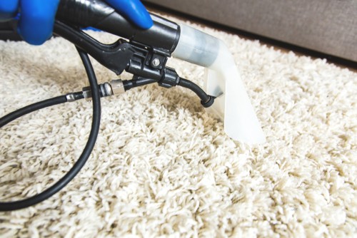 Can Vacuuming Carpet Remove Bacterias?