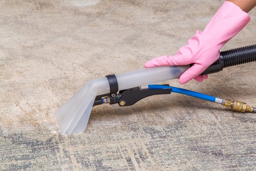 How To Prevent Mold Under Carpet?