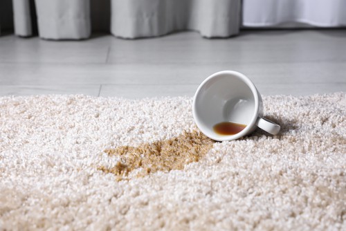 Major Pros And Cons On Having Carpets At Your Home