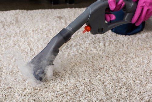 Dust Mites And Carpets