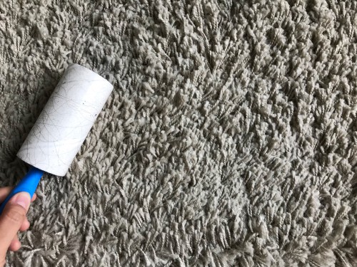 Why Do Carpets Get Dirty Faster After Cleaning?