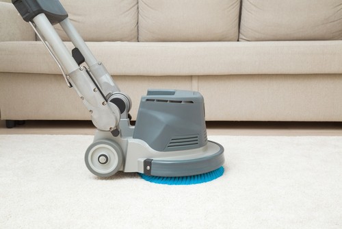 Carpet Cleaning Tips For Homeowners With Pets