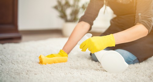 How to Remove Carpet Stains Without Damaging Your Carpet?