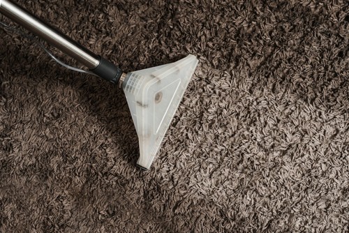 Deep Cleaning Your Carpets What to Expect from a Professional Service