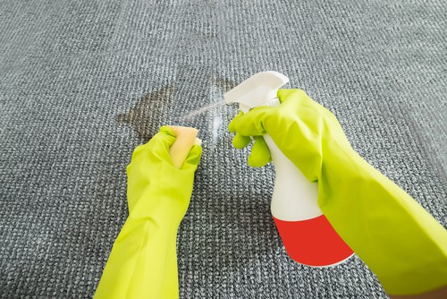 Frequently Asked Questions (FAQs) on Carpet Stains