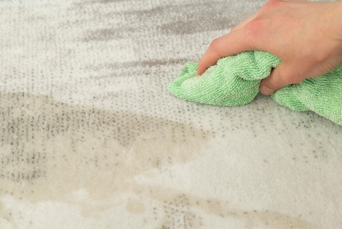Removing Oil, Grease, and Ink Stains from Carpets