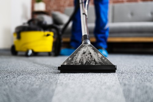 Why Choose Our Carpet Cleaning Service