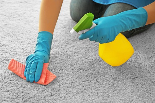 Homemade Carpet Cleaning Solutions
