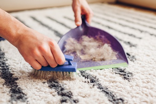 Preventing Carpet Stains and Dirt Accumulation